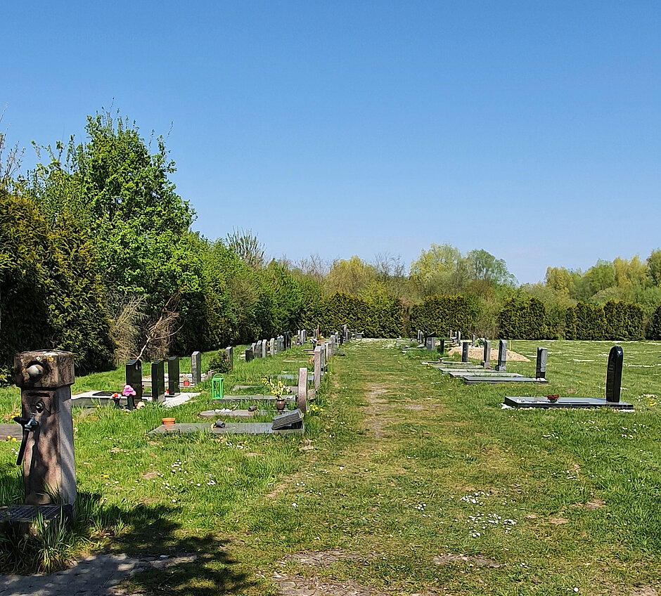 Blick auf den Jüdischen Friedhof Hohe Ward