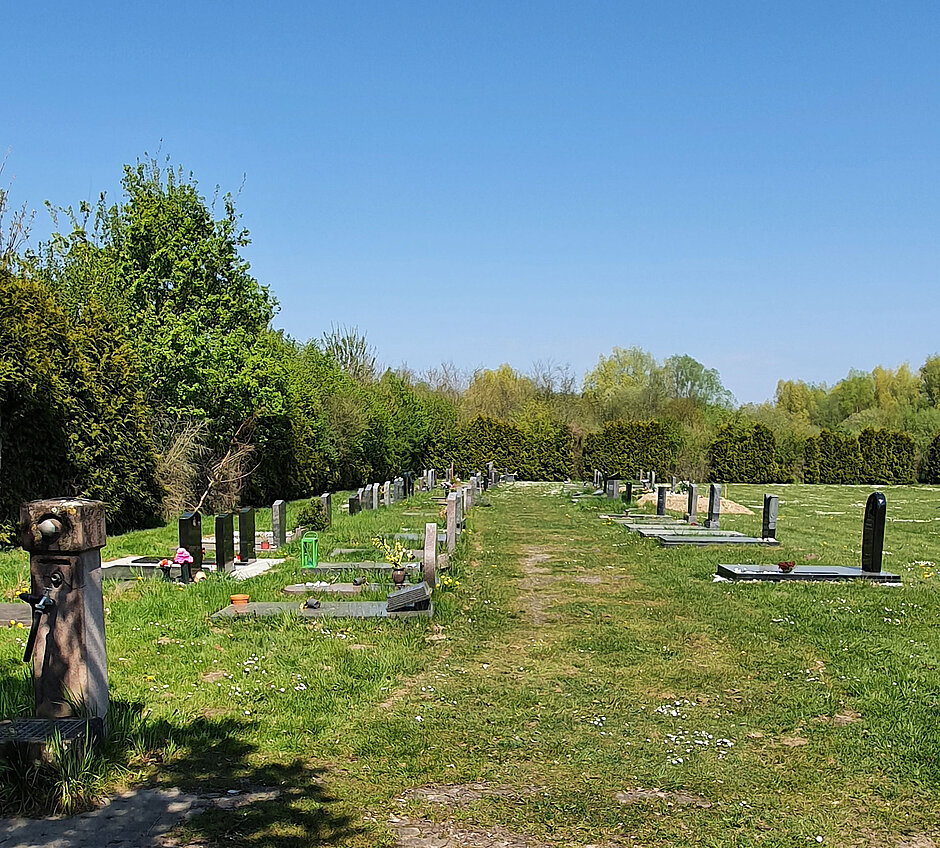 Blick auf den Jüdischen Friedhof Hohe Ward Blick auf den Jüdischen Friedhof Hohe Ward